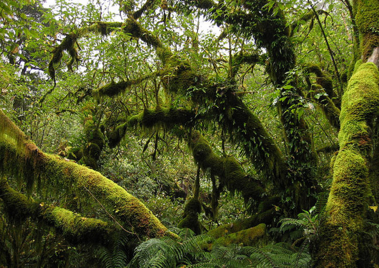 How to Spend 3 Days in Fiordland & Milford Sound